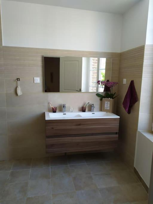 Maison De Charme Proche Gare Et Centre Holiday home Gaillac